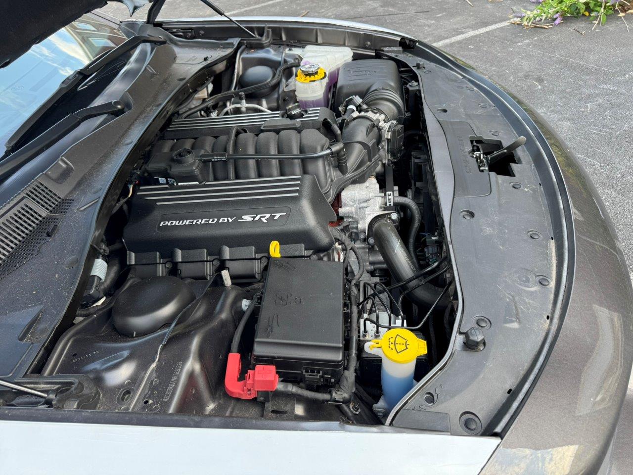 stock-image